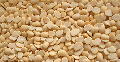 Vaal Dal(Lima Beans)